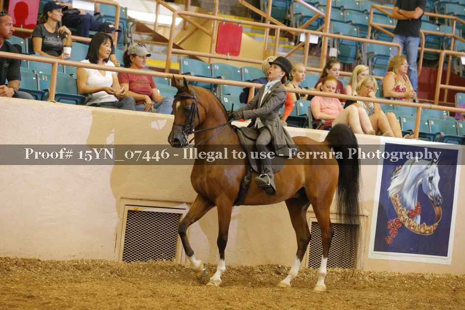 Proof 15YN_07446
