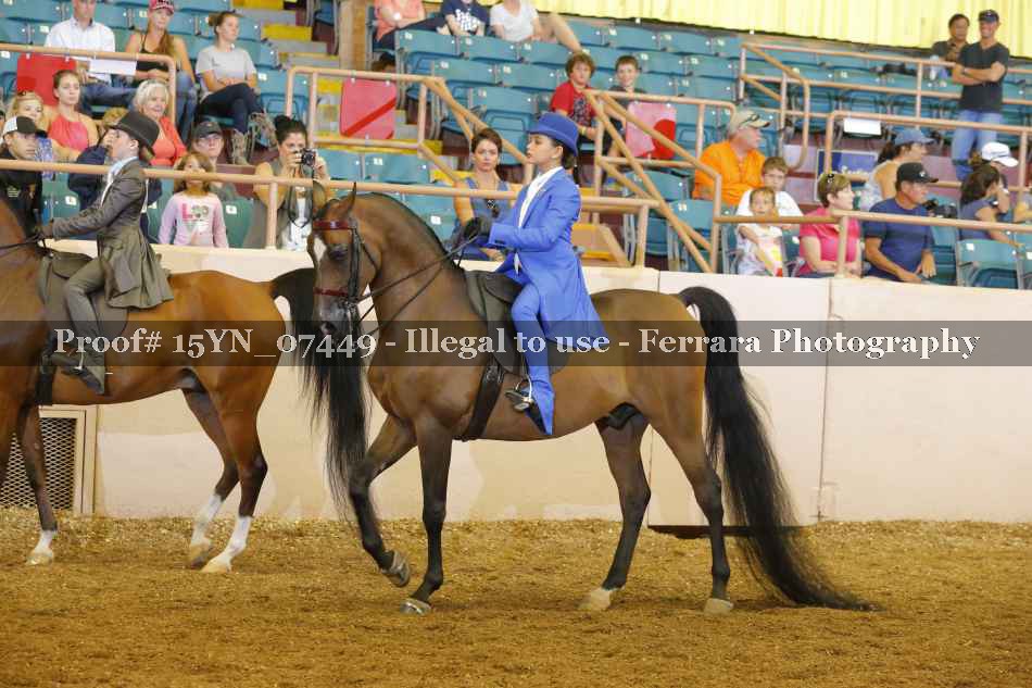 Proof 15YN_07449
