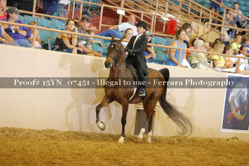 Proof 15YN_07451