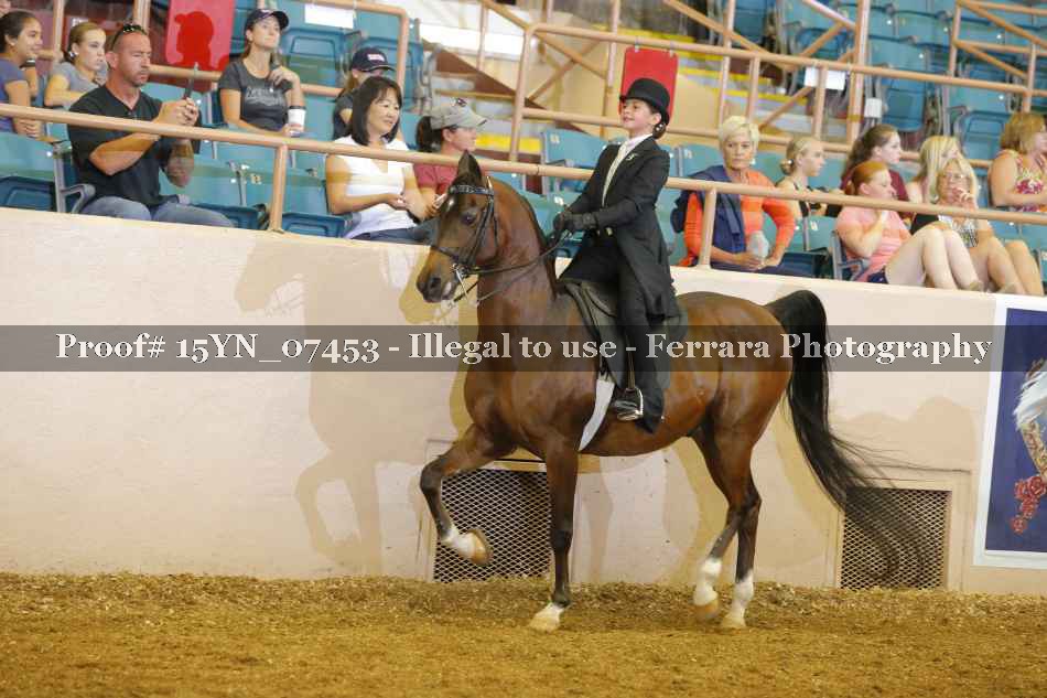 Proof 15YN_07453