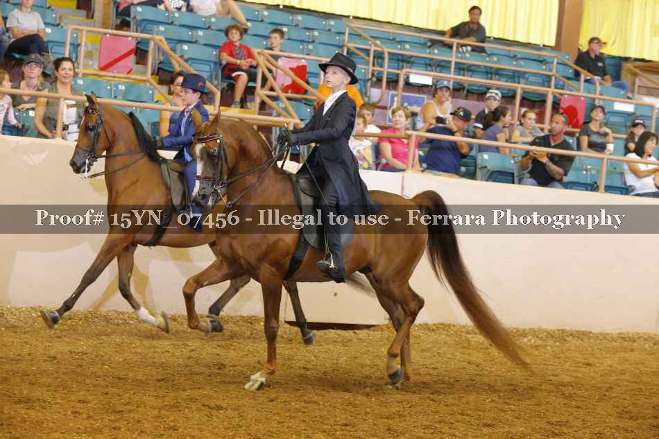 Proof 15YN_07456
