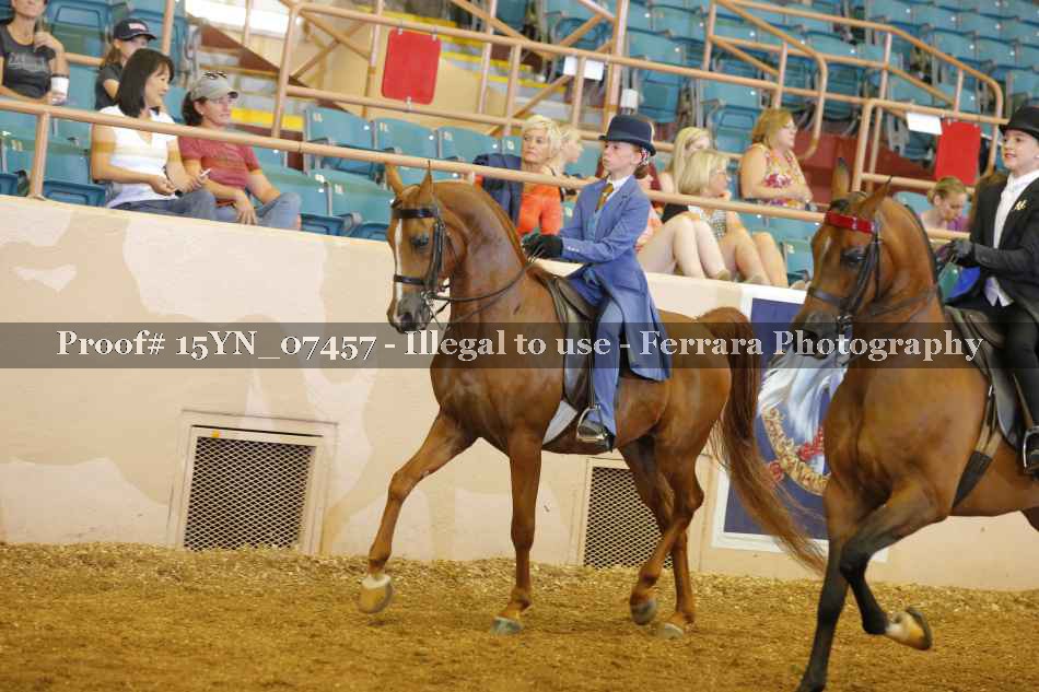 Proof 15YN_07457