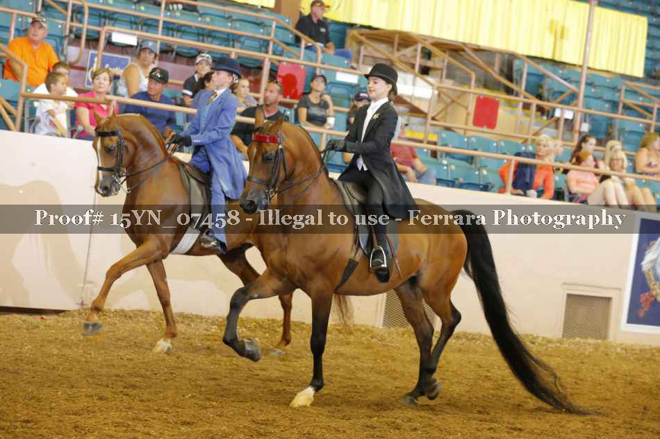 Proof 15YN_07458