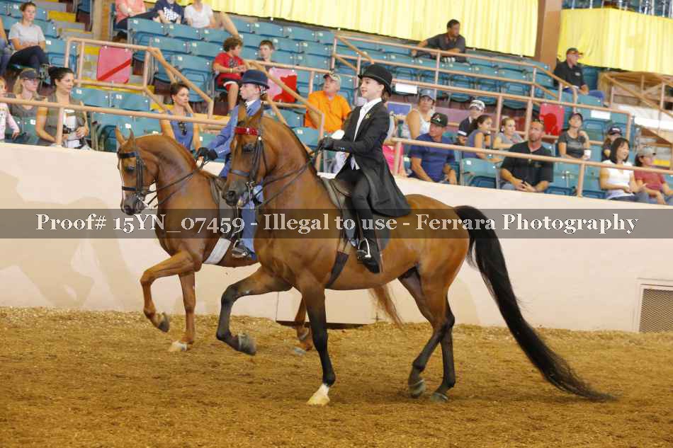 Proof 15YN_07459