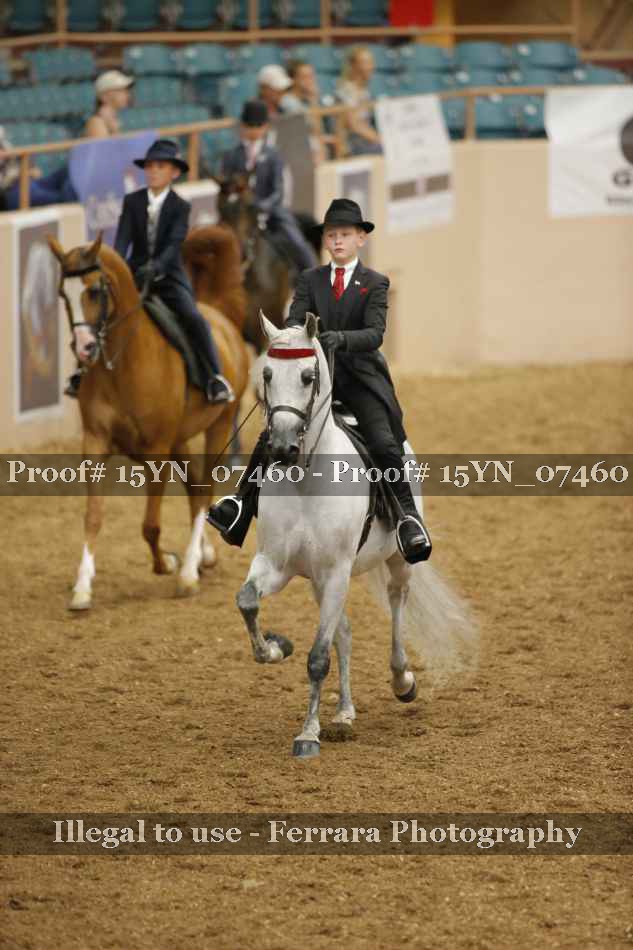 Proof 15YN_07460