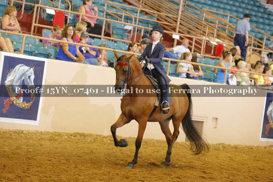Proof 15YN_07461
