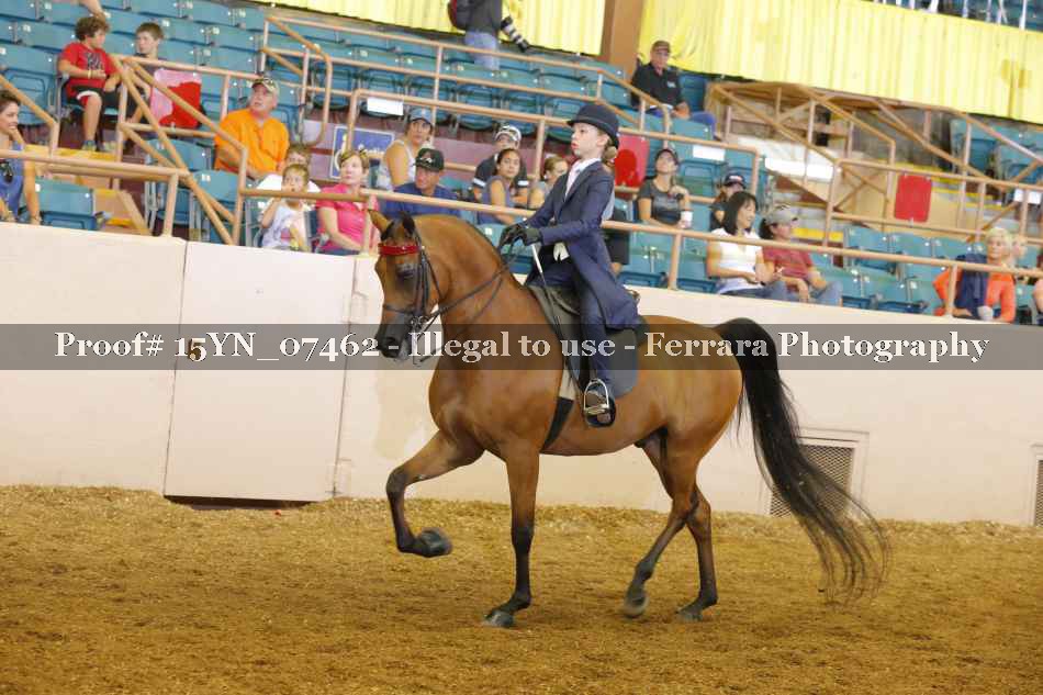 Proof 15YN_07462