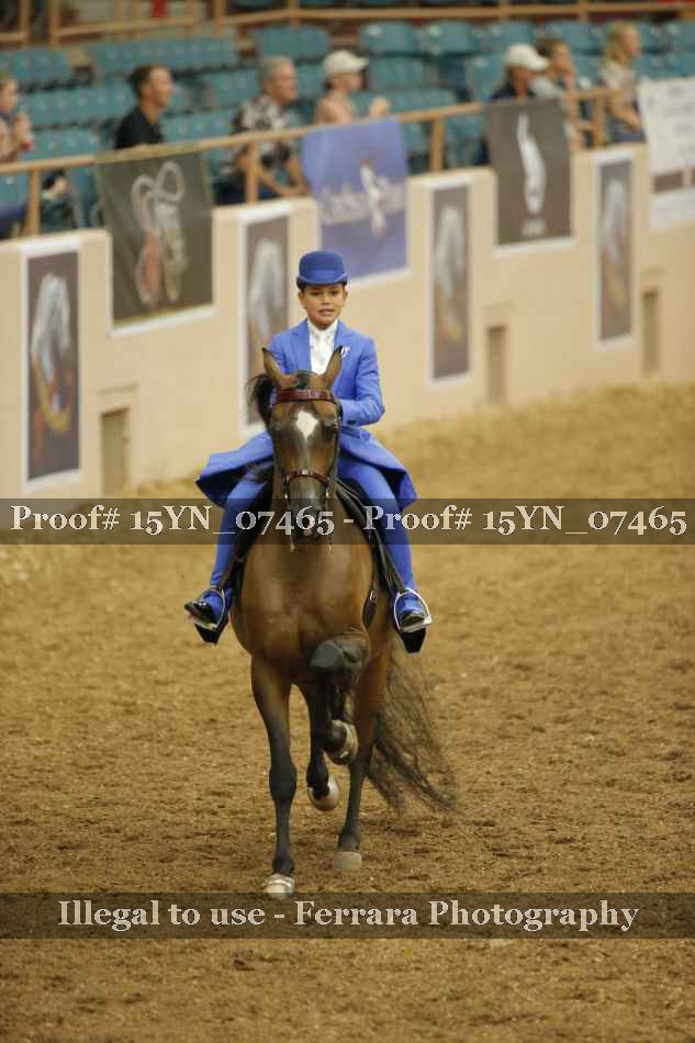 Proof 15YN_07465