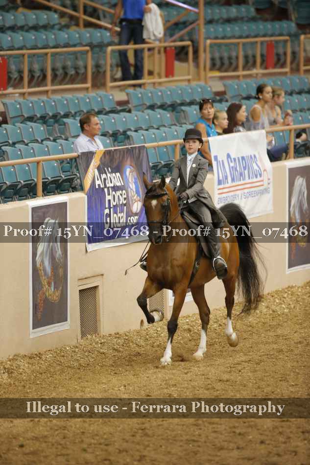 Proof 15YN_07468