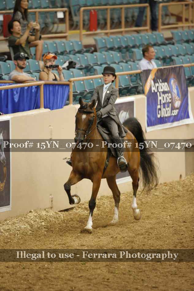 Proof 15YN_07470