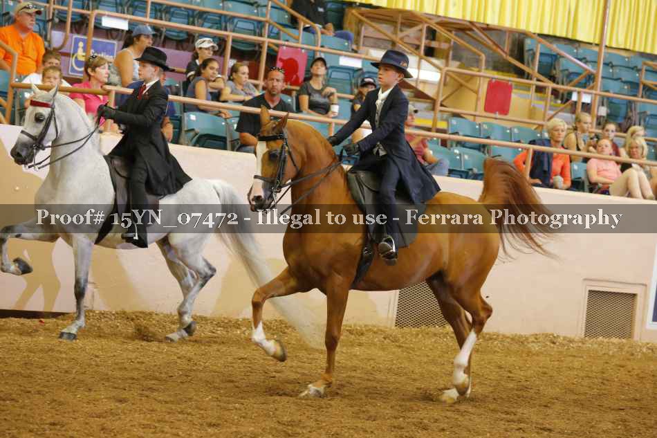 Proof 15YN_07472