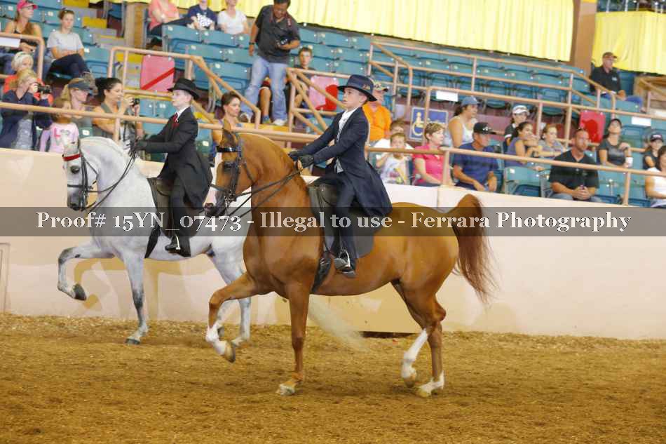Proof 15YN_07473