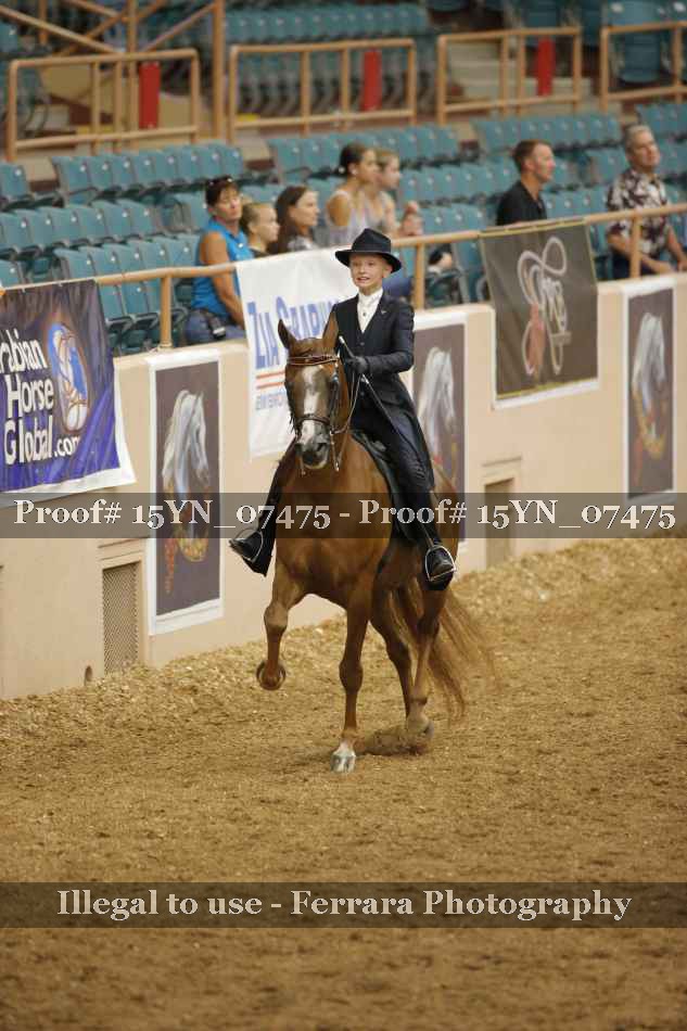 Proof 15YN_07475