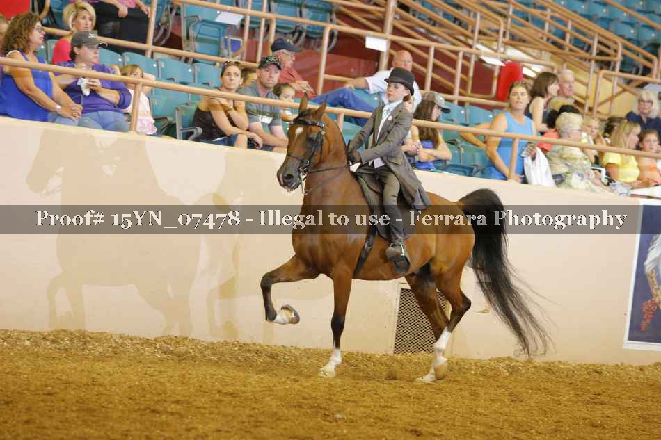 Proof 15YN_07478