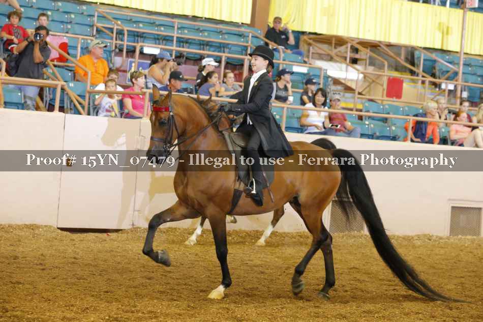 Proof 15YN_07479