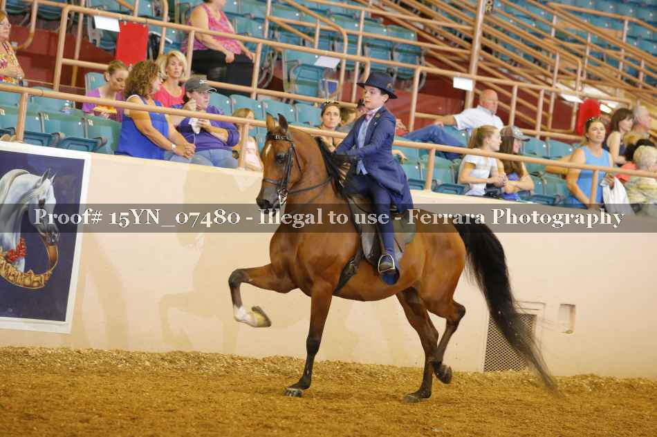 Proof 15YN_07480