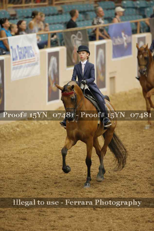 Proof 15YN_07481