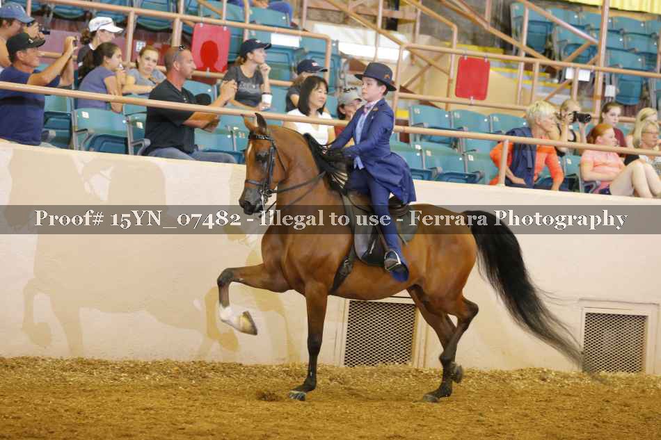 Proof 15YN_07482