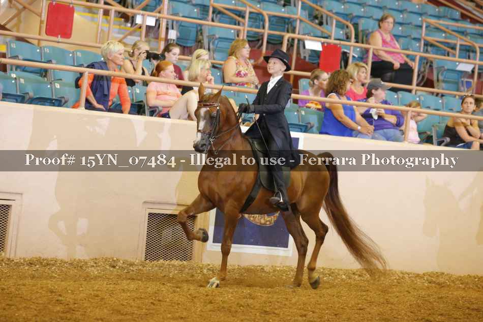 Proof 15YN_07484