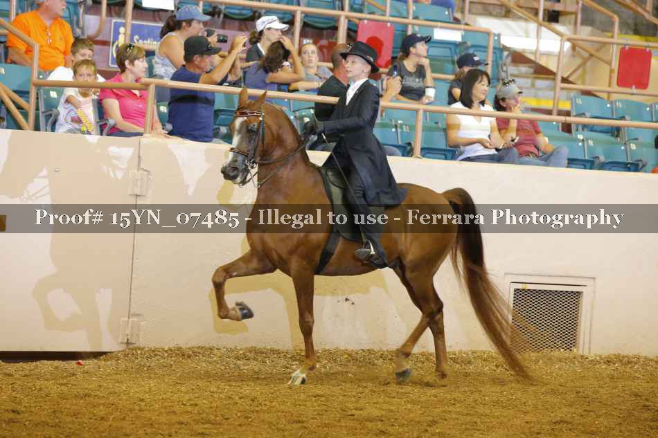 Proof 15YN_07485