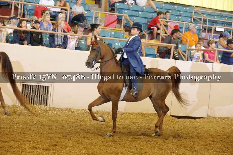 Proof 15YN_07486