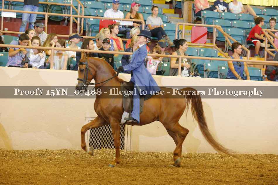 Proof 15YN_07488