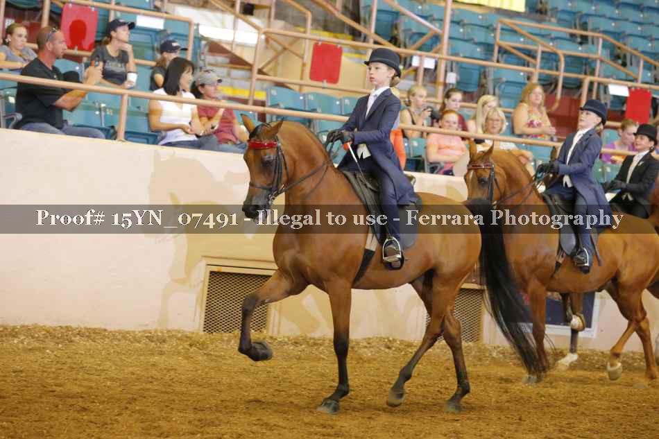 Proof 15YN_07491