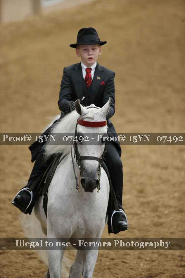 Proof 15YN_07492