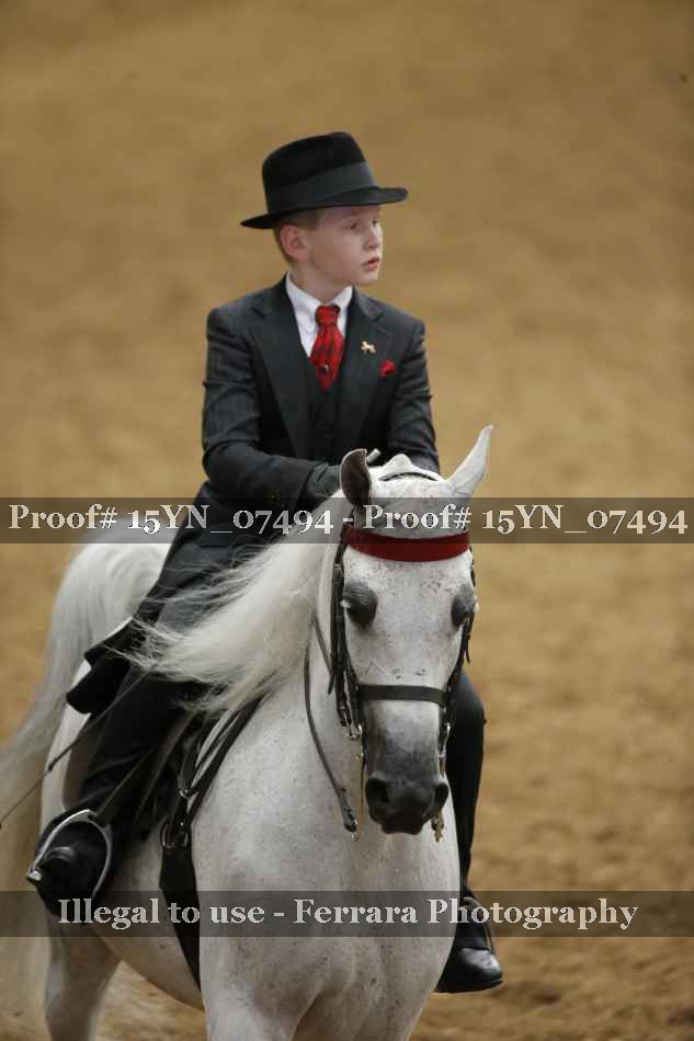 Proof 15YN_07494