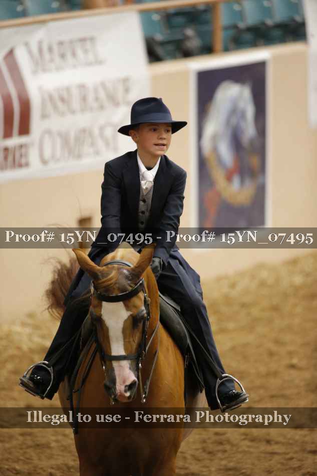 Proof 15YN_07495