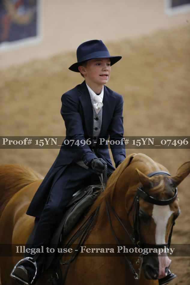 Proof 15YN_07496