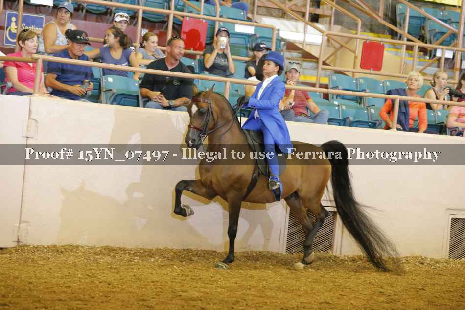 Proof 15YN_07497