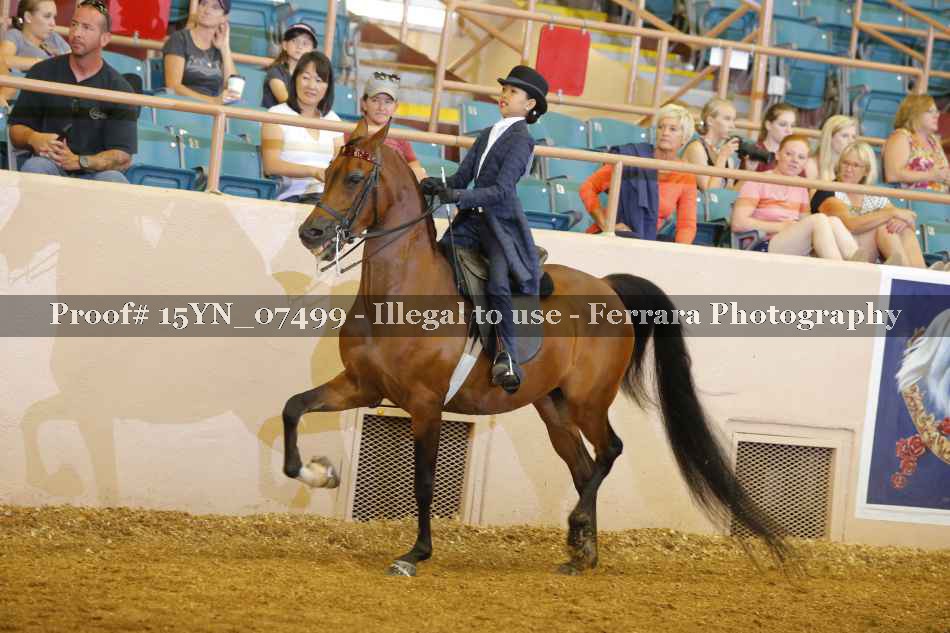 Proof 15YN_07499
