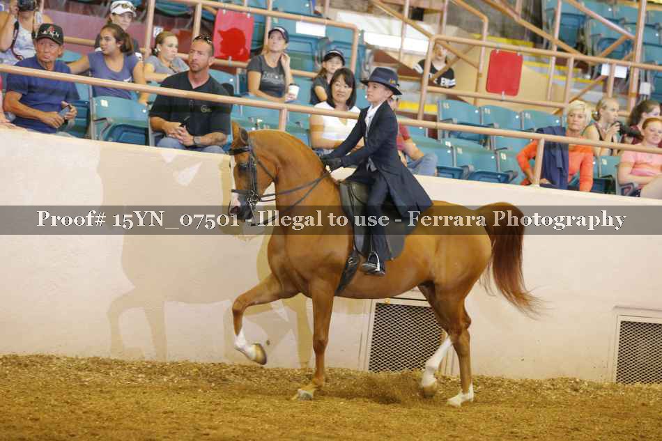 Proof 15YN_07501