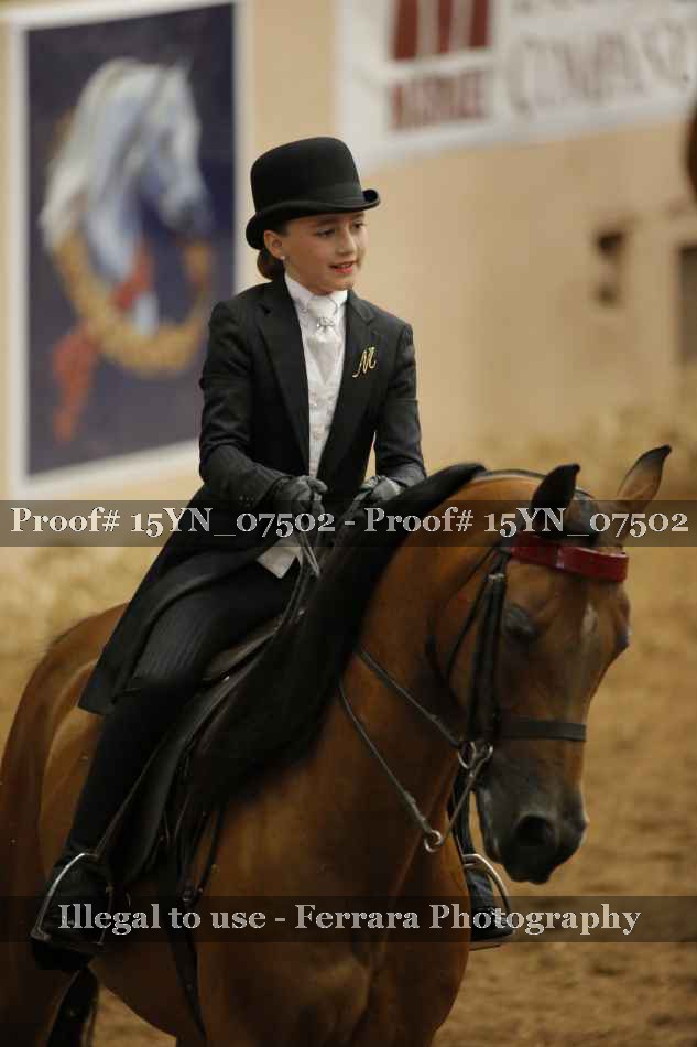 Proof 15YN_07502