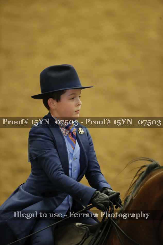 Proof 15YN_07503