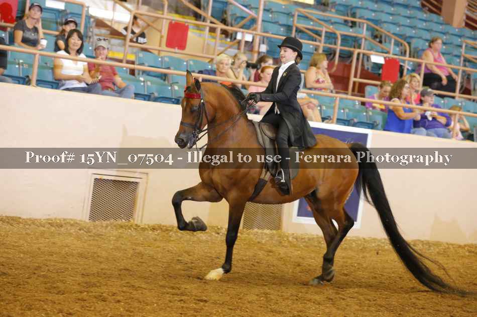 Proof 15YN_07504