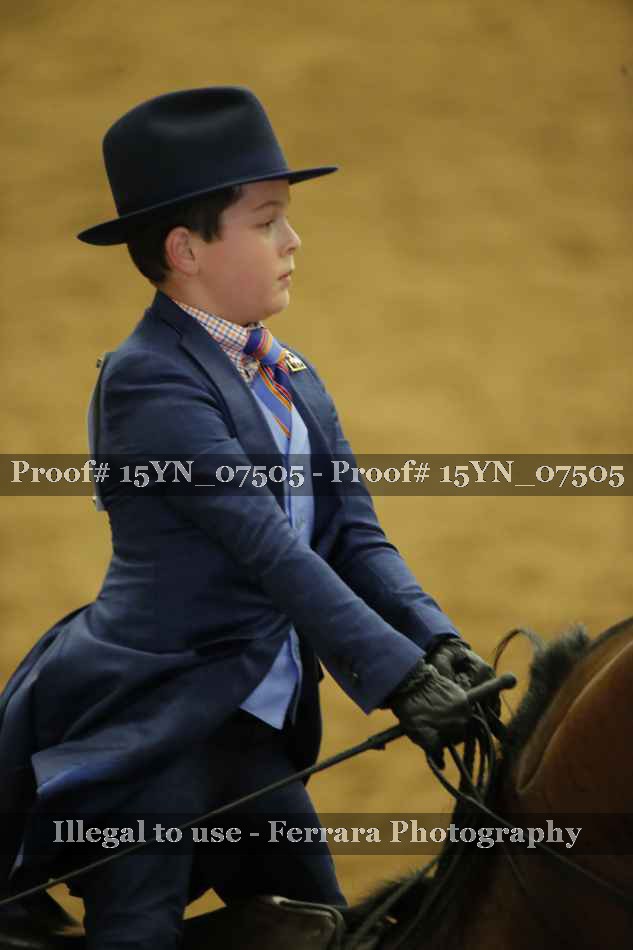 Proof 15YN_07505