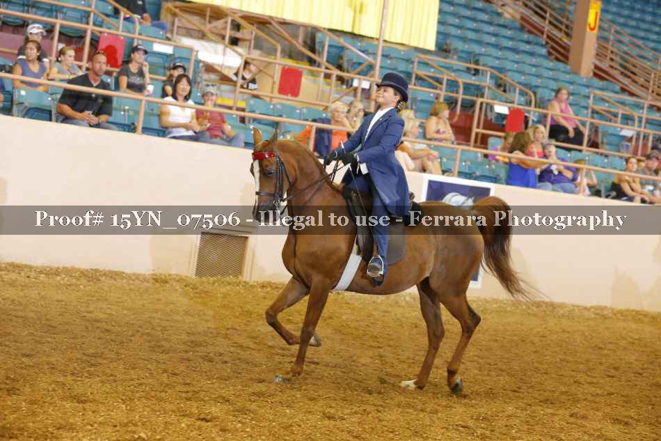 Proof 15YN_07506