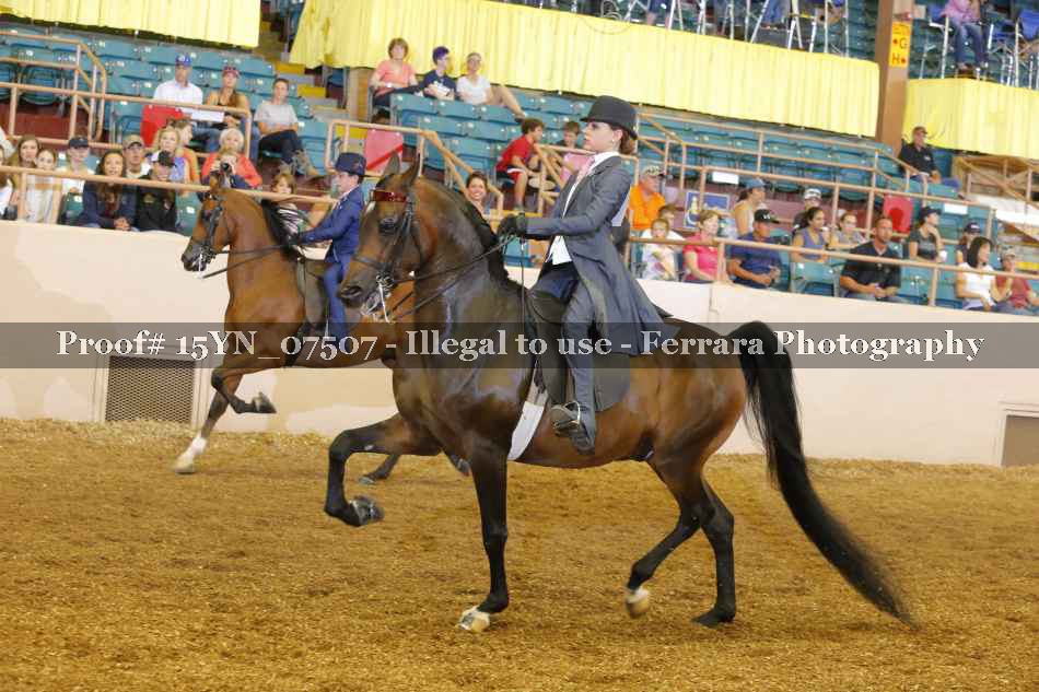 Proof 15YN_07507