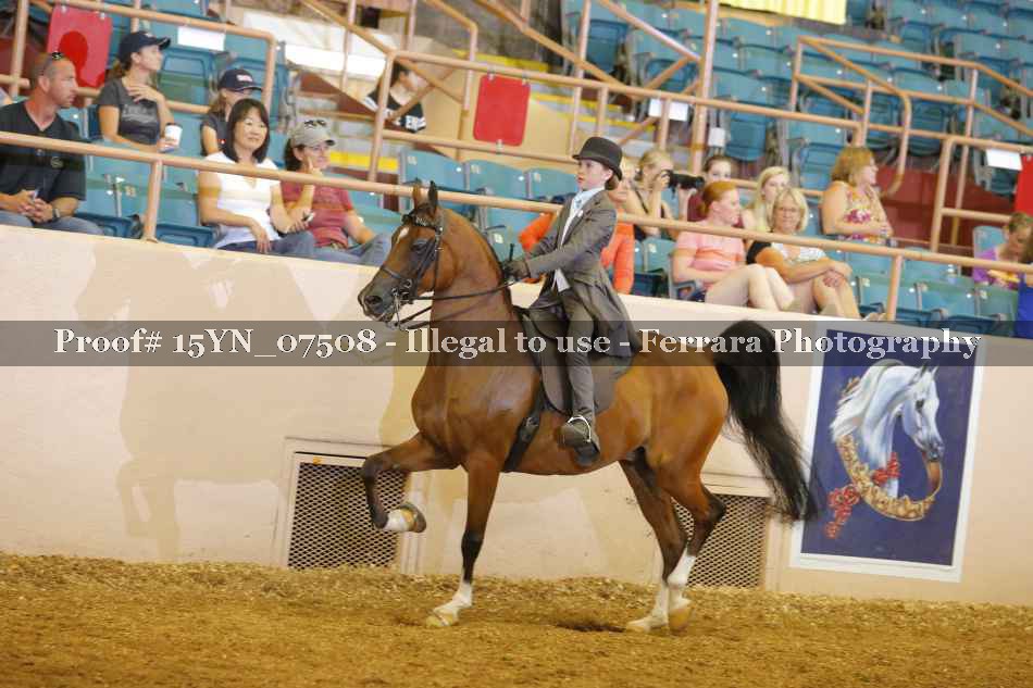 Proof 15YN_07508