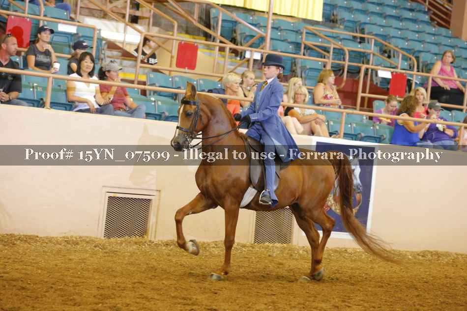 Proof 15YN_07509