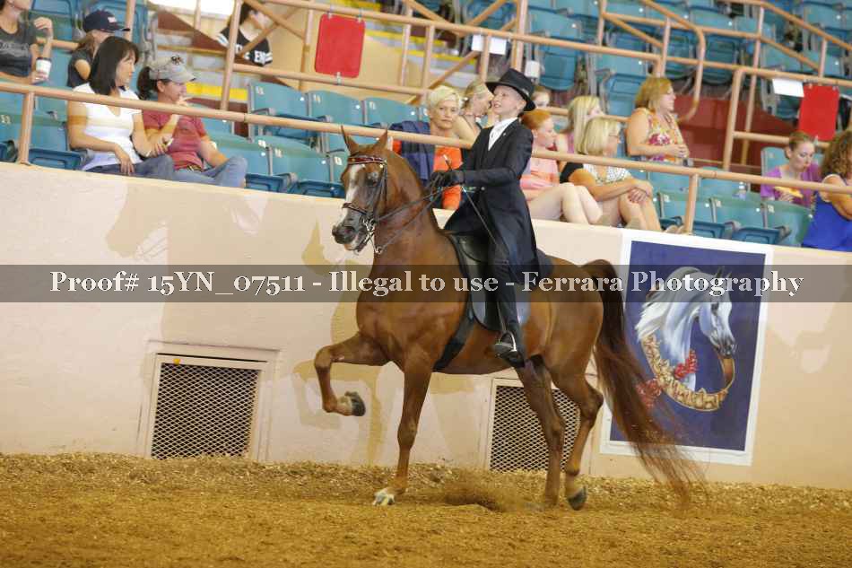 Proof 15YN_07511