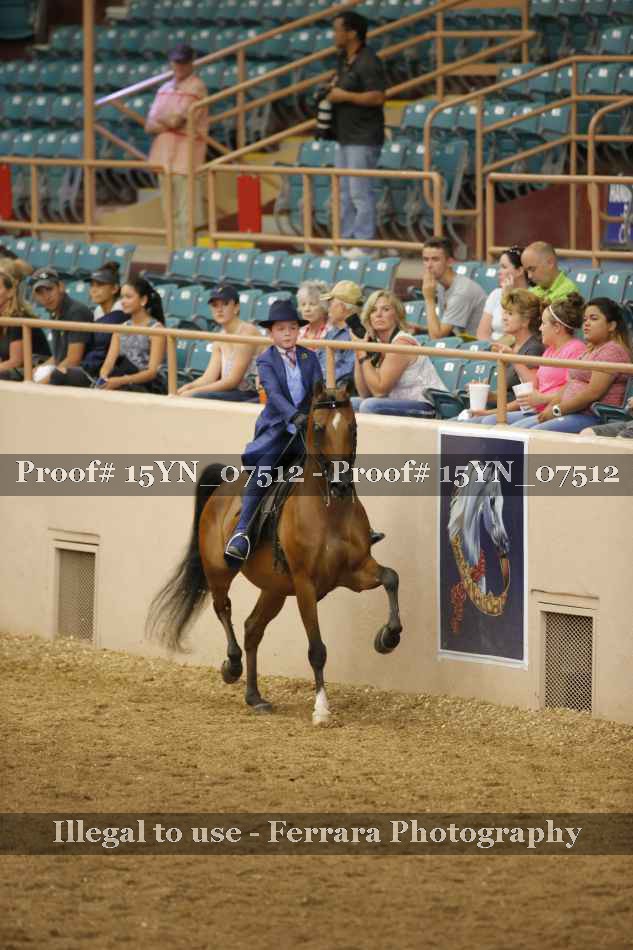 Proof 15YN_07512