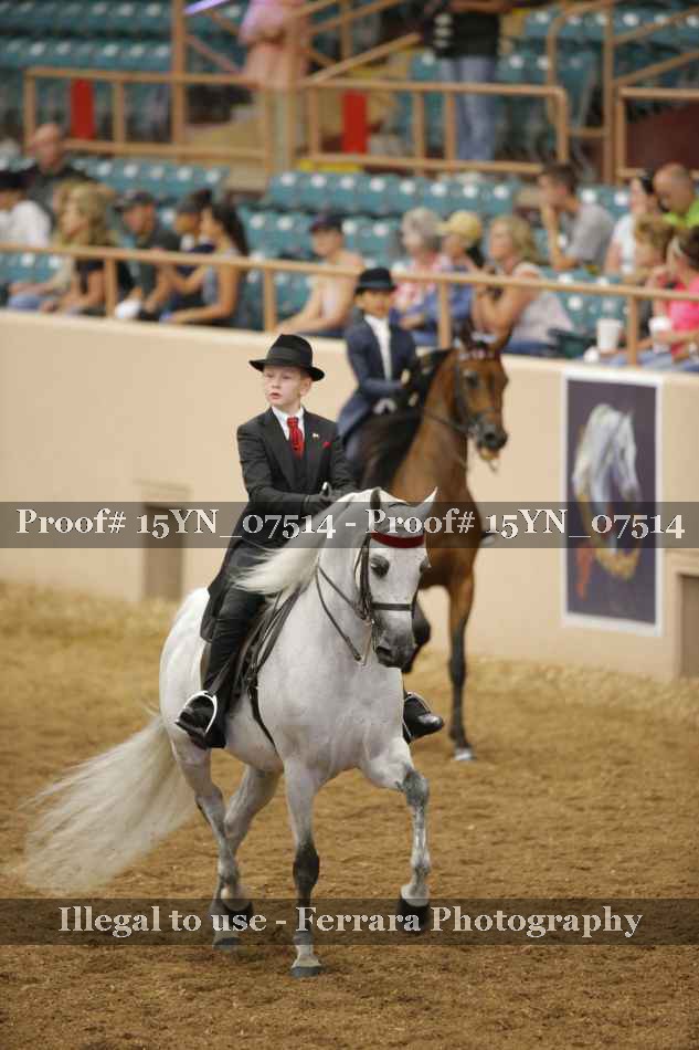 Proof 15YN_07514