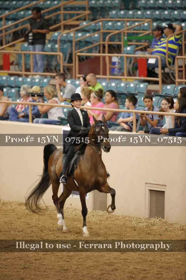 Proof 15YN_07515