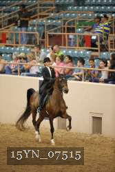 15YN_07515 proof