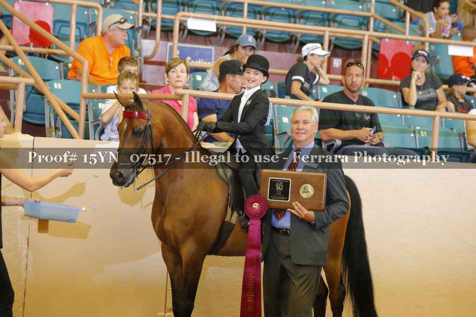Proof 15YN_07517