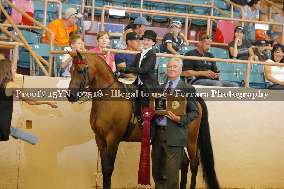 Proof 15YN_07518