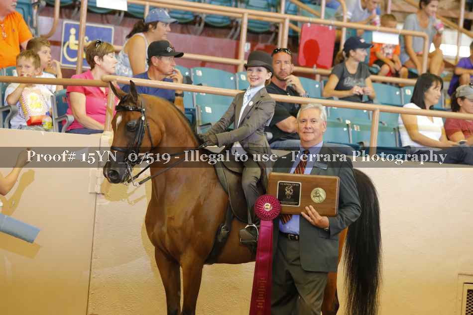 Proof 15YN_07519